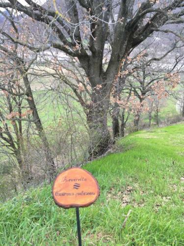 Bed & Breakfast La Locanda Nel Vento