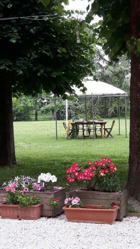 Bed & Breakfast La Torre Di Longara
