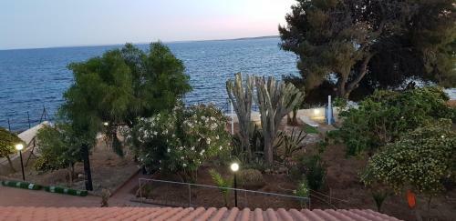 La Caletta Di Afrodite Premium
