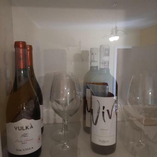 Viviholiday