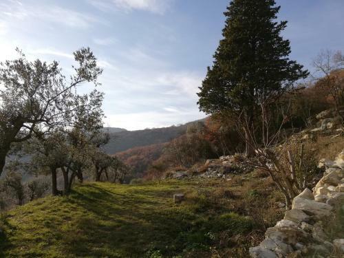 B&B Casamatta Azienda Agricola