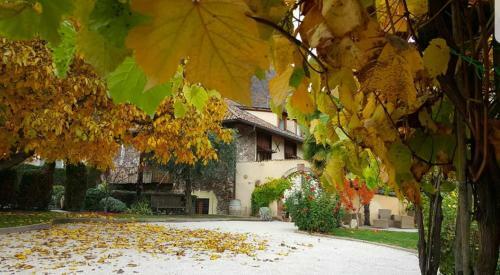 Hostal Ansitz Strengherrnhof