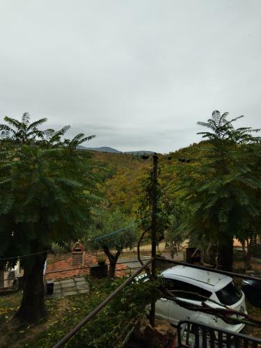 Apartamento Pasquale 45