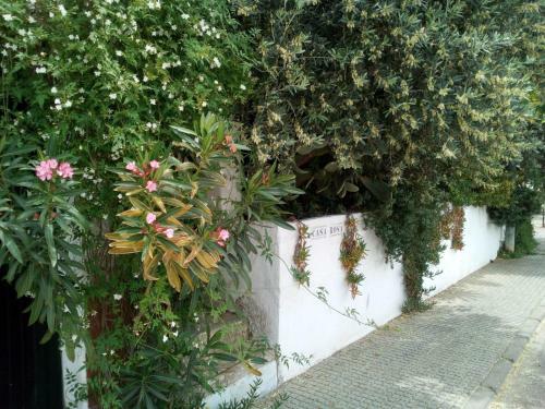 Bed & Breakfast Casa Rosa