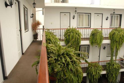 Bed & Breakfast Residencial Carlos