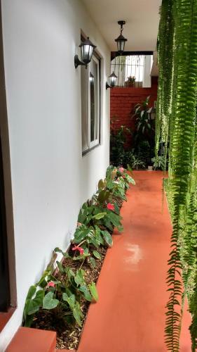 Bed & Breakfast Residencial Carlos