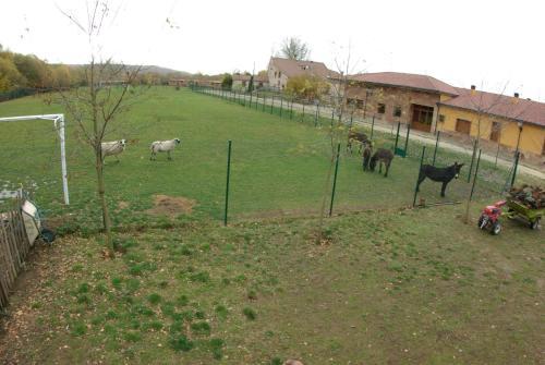 Bungalows Granja Escuela Arlanz�n