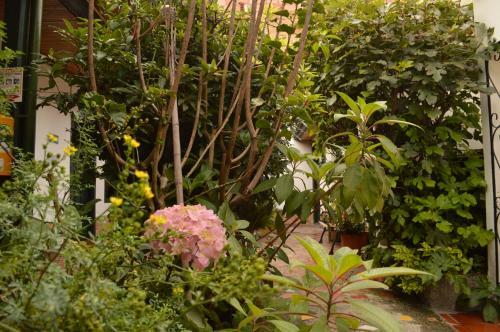 Hostal Sue Candelaria