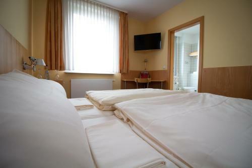 Hostal Gasthaus Goldene Gans