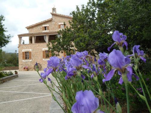 Aparthotel Can Estades