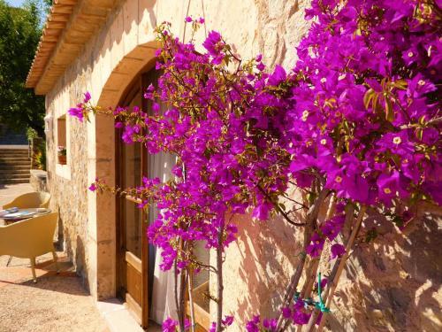 Aparthotel Can Estades