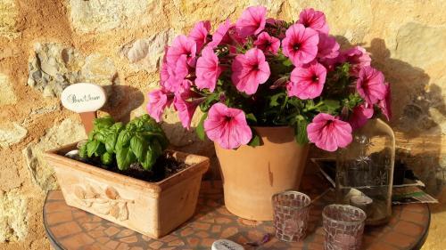 Aparthotel Can Estades