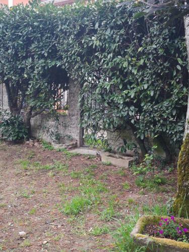 B&B Villa Noemi