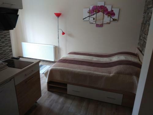 Dream Lux Apartman
