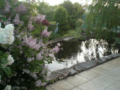 Bed & Breakfast Le Jardin De N�mo
