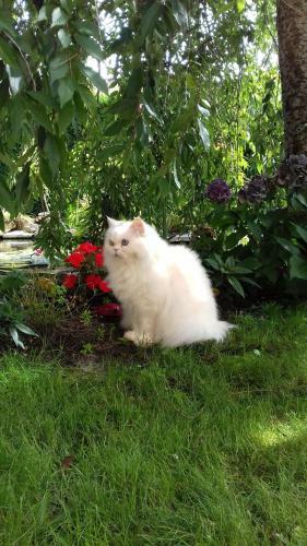Bed & Breakfast Le Jardin De N�mo