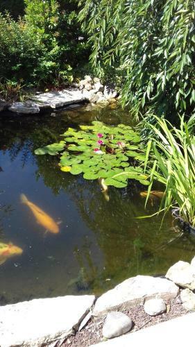 Bed & Breakfast Le Jardin De N�mo