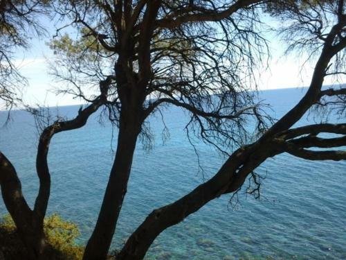 Bed & Breakfast Karmabnb