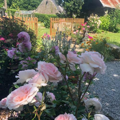 Walnut Tree Gite Brittany