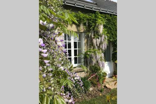 Walnut Tree Gite Brittany