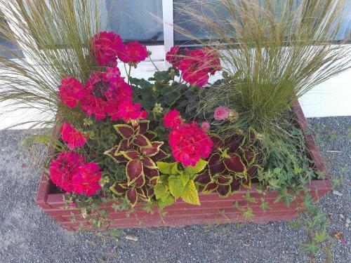 Hostal Chez Val�rie Et Ludovic