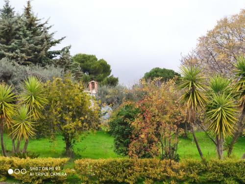 Villa Odori Di Zagara