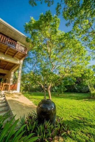 Villa Nikara Luxury Beach House