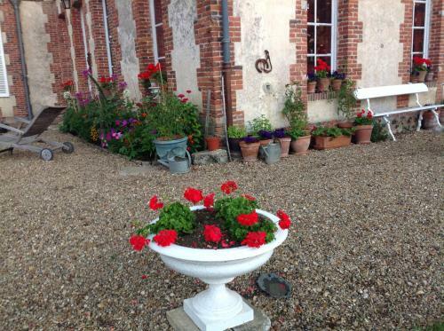 Hostal Rouge Maison