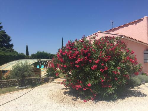 Bed & Breakfast Chambre D?h�tes Vaucluse