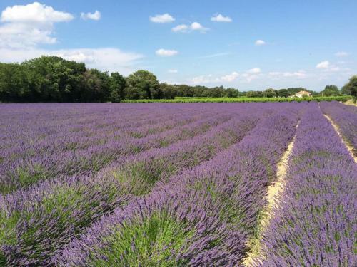 Bed & Breakfast Chambre D?h�tes Vaucluse