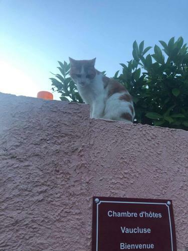 Bed & Breakfast Chambre D?h�tes Vaucluse