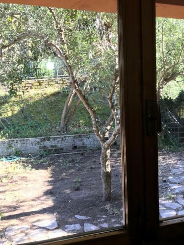 Casa Margot