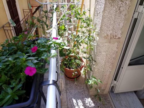 Apartamento La Casa Di Bianca
