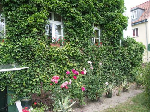 Hotel Zur Alten Oder