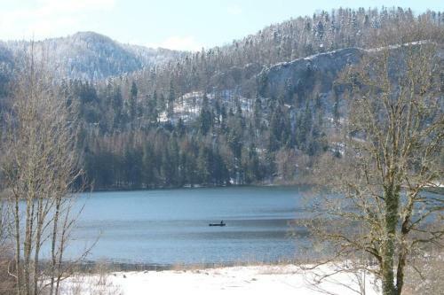 Apartamento Appartement H�risson Vue Sur Le Lac de Bonlieu