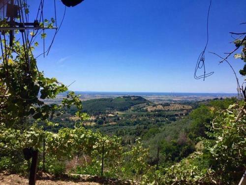 Apartamento Frantoio-di-campiglia