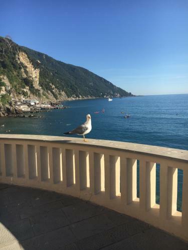 Casetta Del Marinaio B&B Apartment With Sea View