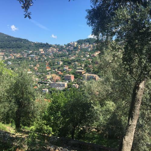 Apartamento Villa Olivari - Apt La Lavanda