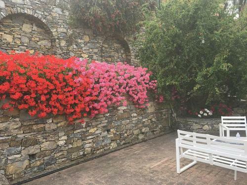 Apartamento Villa Olivari - Apt La Lavanda