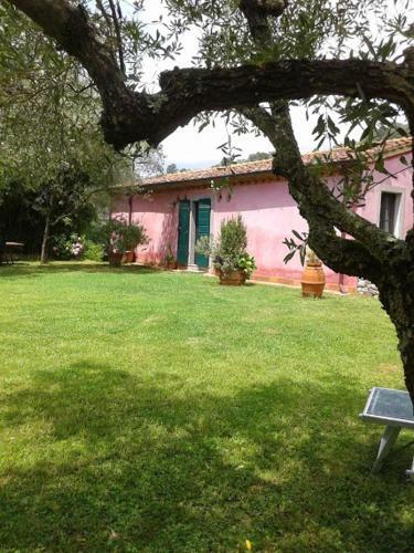 Villa Nobiliare Per 15 Persone