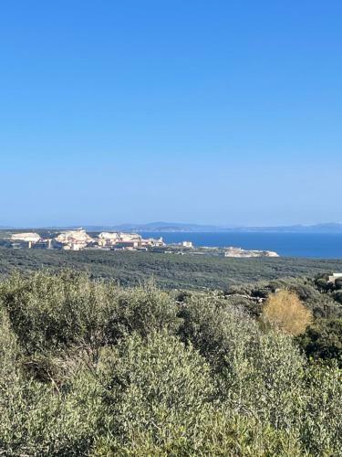 Les Chalets De La Residence A Santa Trinita