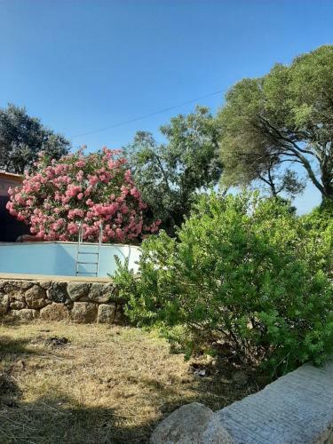Apartamento Villa Giuseppina