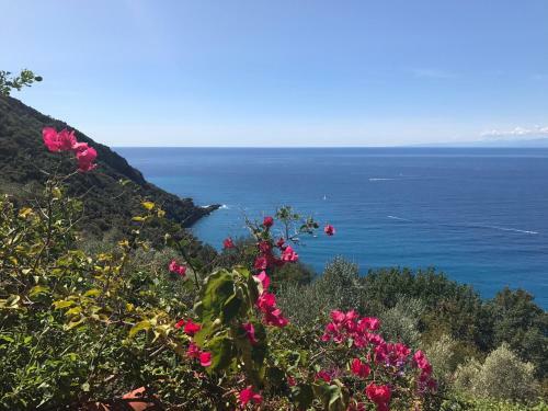 Villa Cielomare