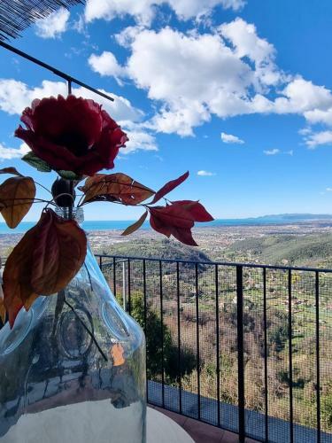 Il Castello Di Monteggiori