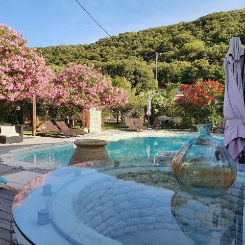 Bed & Breakfast Petra-bianca