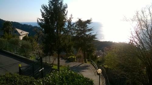 Host Alla Millenaria