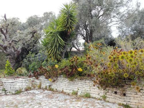 Bonifacio, Maison 90m� Sous Les Oliviers, Vue Sardaigne