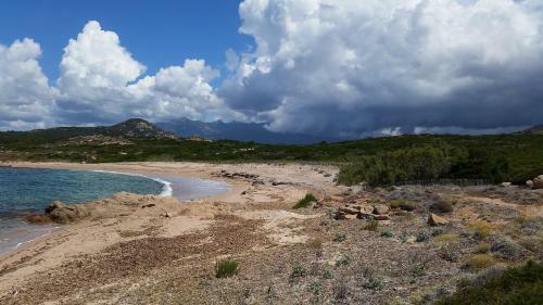 Bonifacio, Maison 90m� Sous Les Oliviers, Vue Sardaigne