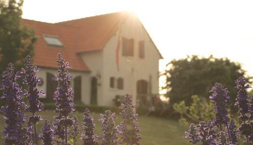 Hostal Villa Orang�re Chambre Et Table D'h�tes