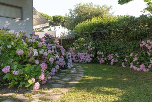 Apartment Holiday Versilia